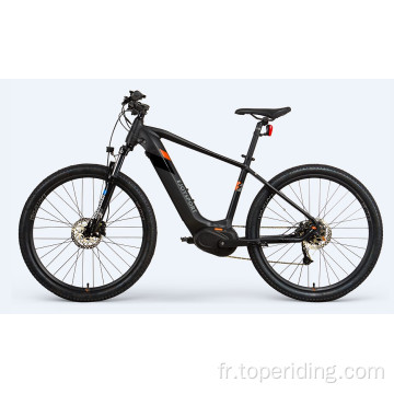 Mountain Electric Bicycle 50 MPH